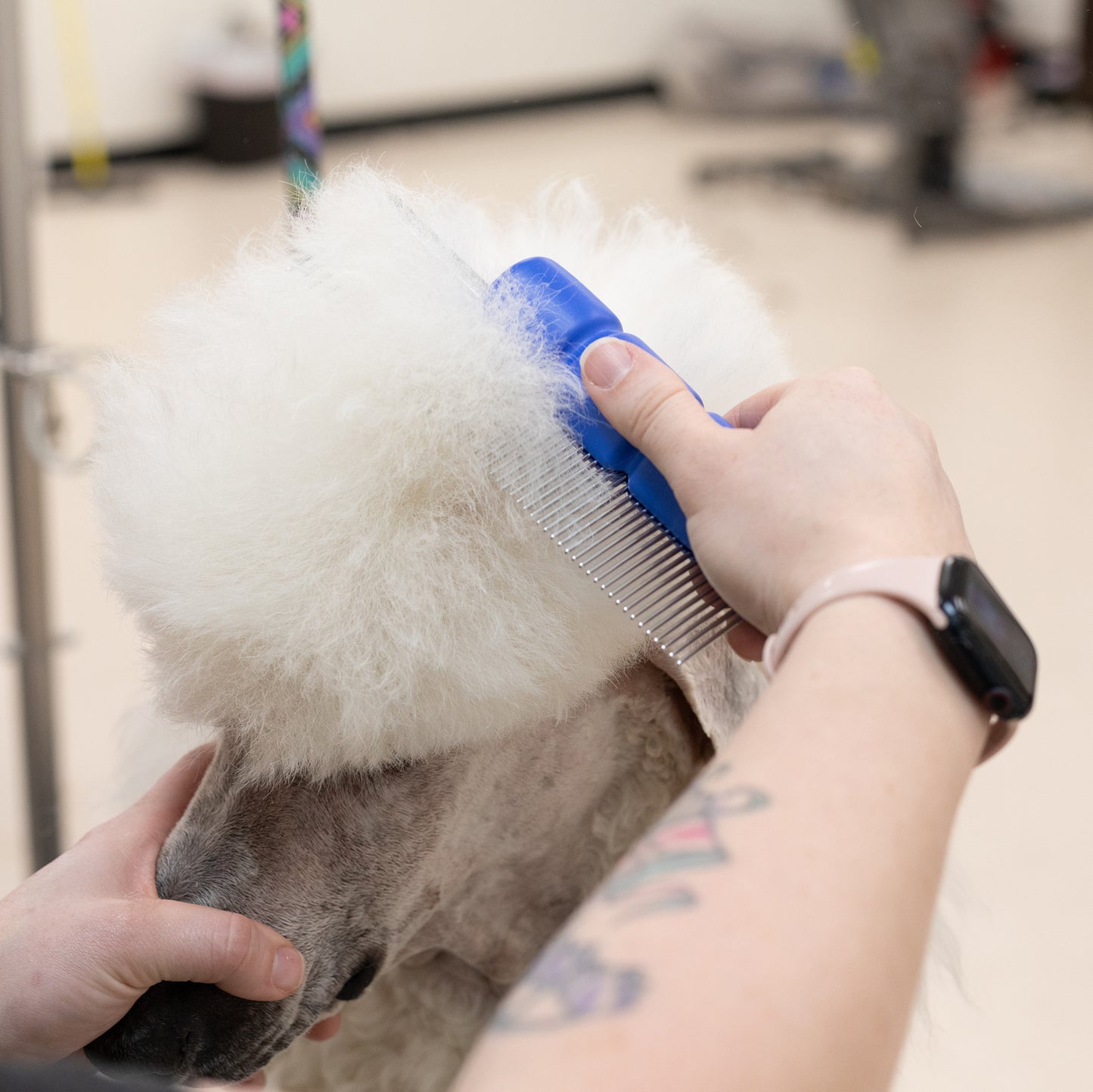 poodle grooming comb with hand saver