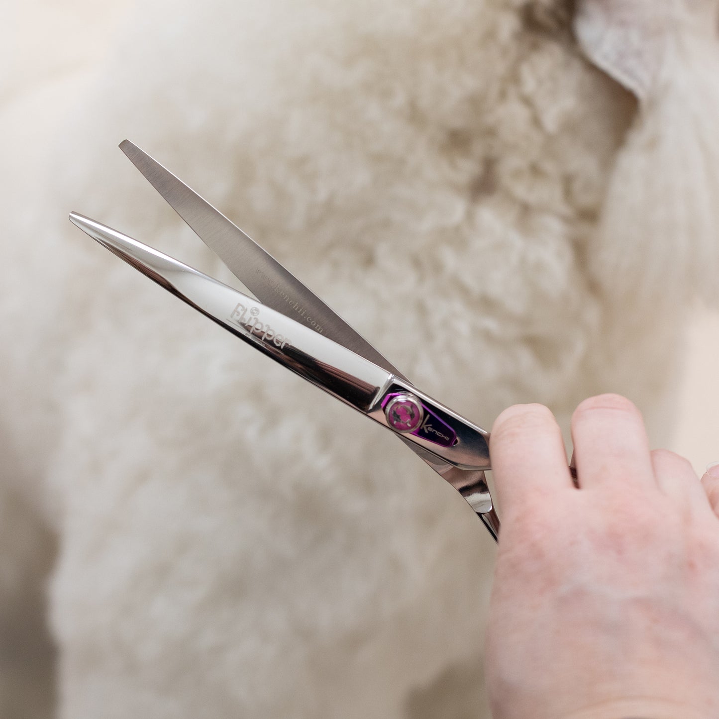 Kenchii Flipper 8" Curve Shear