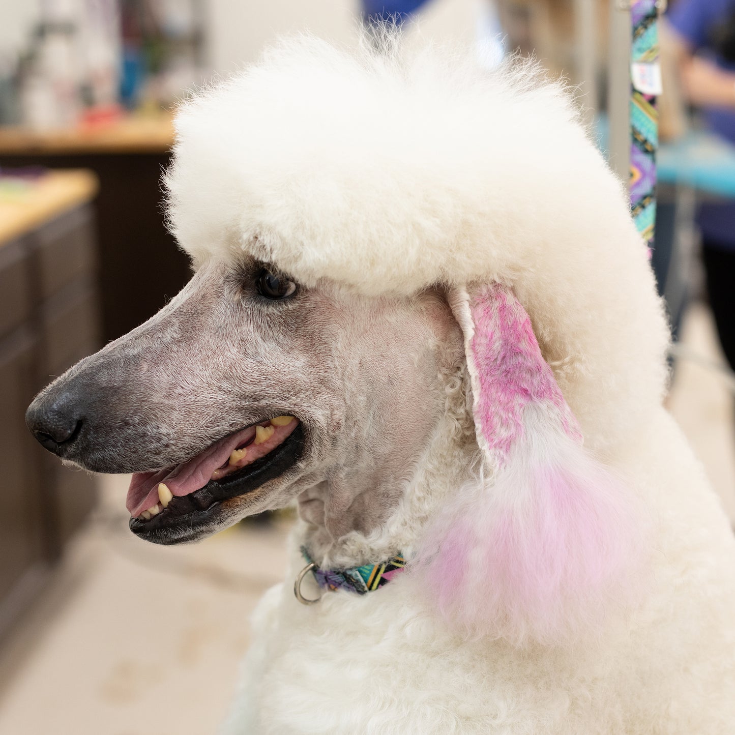 A Creative Collection Crayon 10 Pack