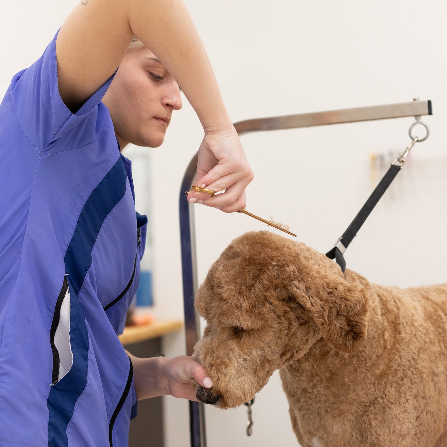 Kenchii Rosé 25-Tooth Blender