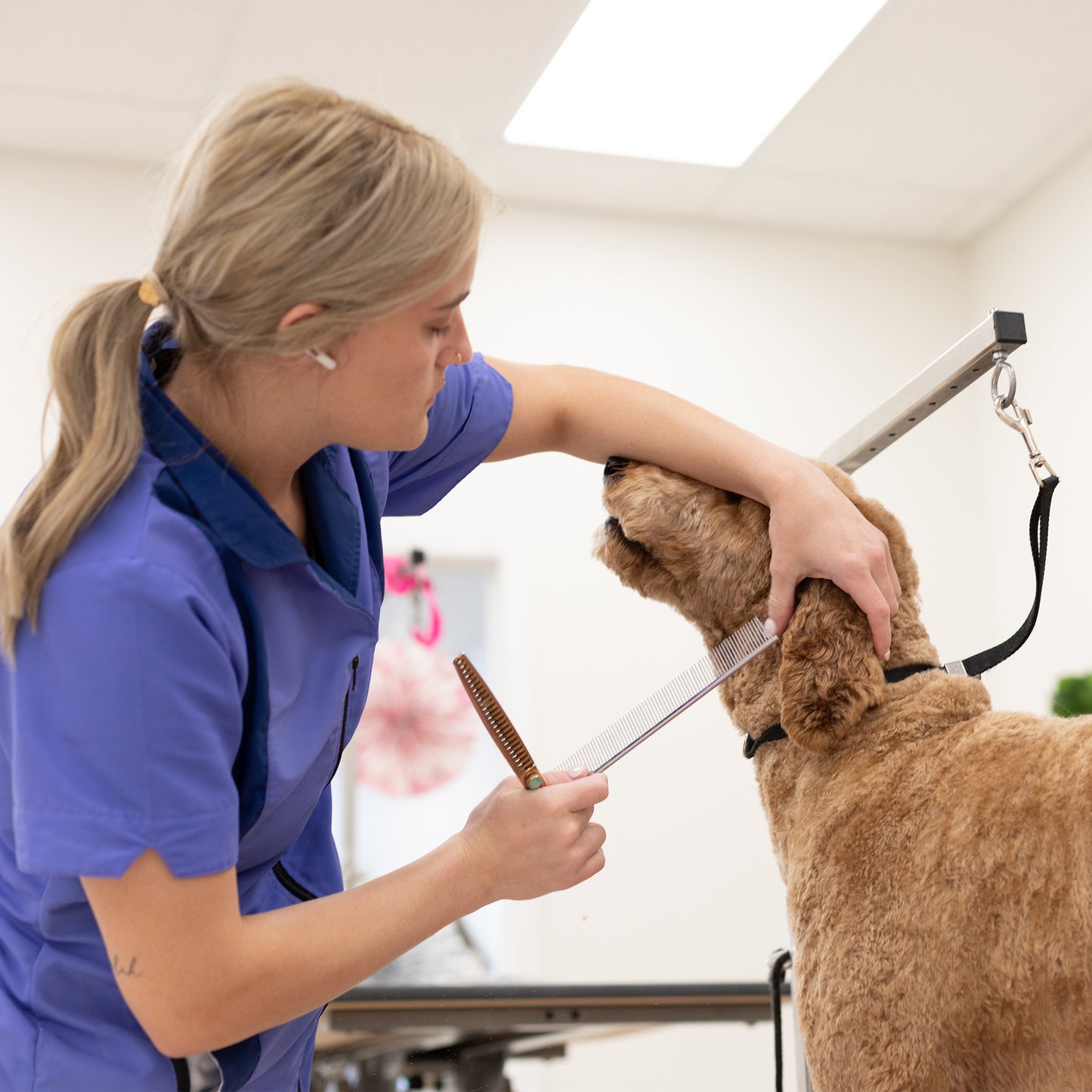 Kenchii Rosé Swivel 25-Tooth Blender