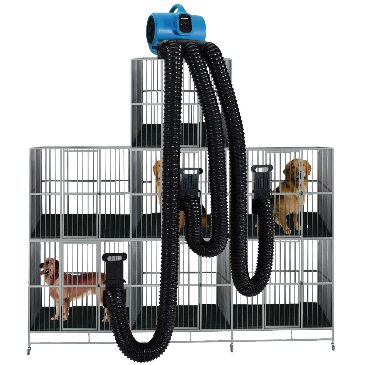 XPOWER X-800TF-MDK Professional 3 Speed Pet Grooming Dog Cage Dryer with Multi Drying Hose Kit, Timer & Filters