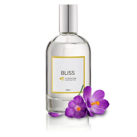 iGroom Bliss Perfume 100ml