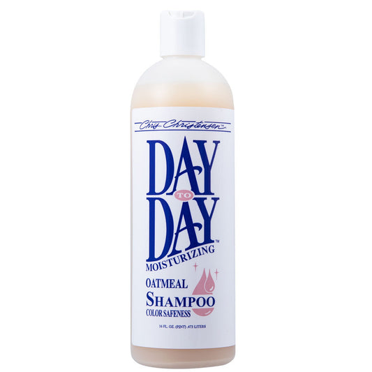 Day to Day Shampoo