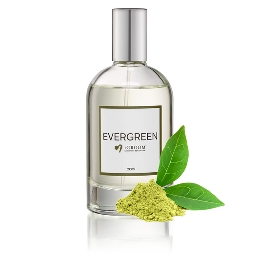 iGroom Evergreen Perfume 100ml