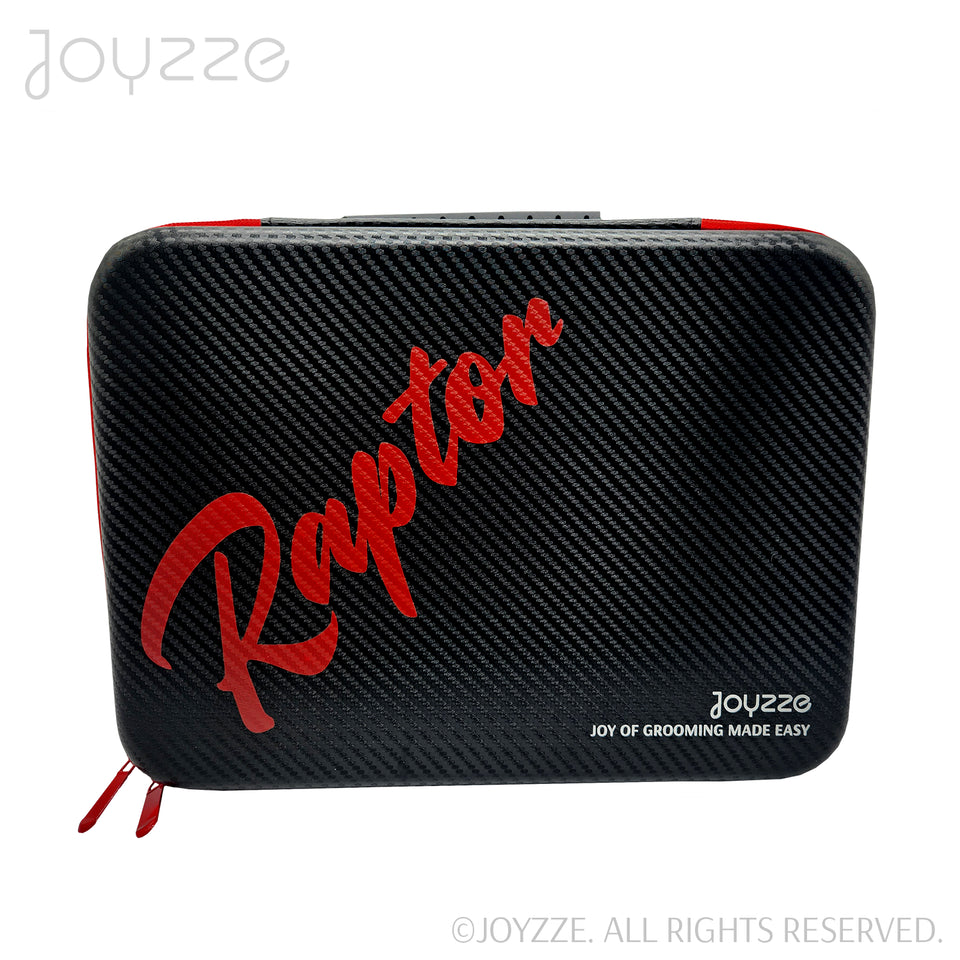 Joyzze Raptor - 2 Battery