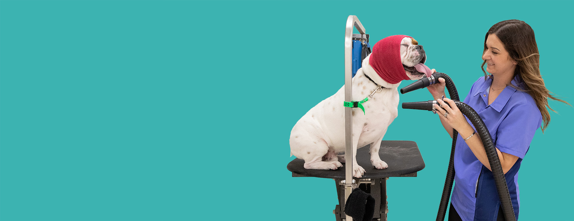 SP Grooming Supply Chris Christensen, Happy Hoodies & more